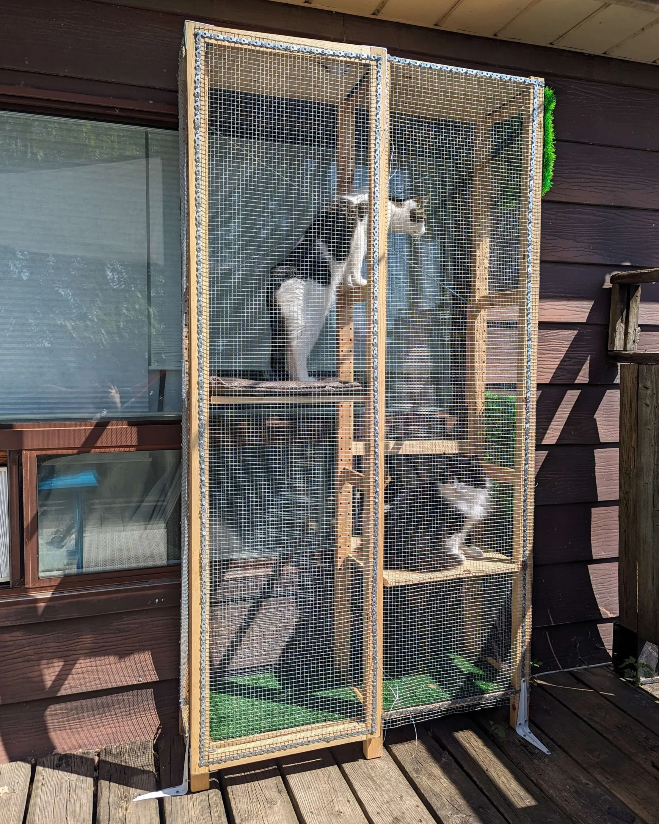 Making a catio online